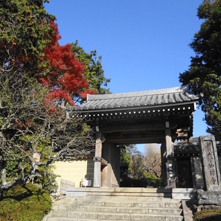 鎌倉市浄明寺でランチに使えるお店 ランキング 食べログ 鎌倉市浄明寺でランチに使えるお店 ランキング 食べログ