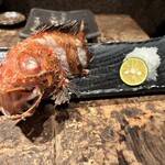 Robata Shou - 