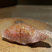 鮨 やくしどう - 小鯛