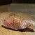 鮨 やくしどう - 料理写真:小鯛