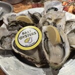 FAST OYSTERS - 