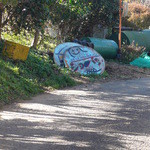 ショパン - 入口の看板　地面に置かれてるので歩きでないと気づかないかも