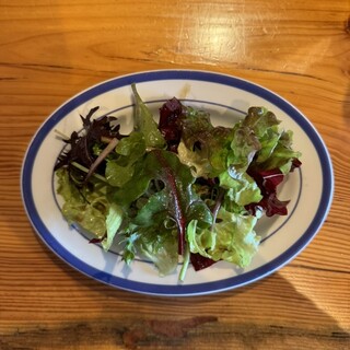 トラットリア ガタキージ_1