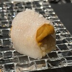 赤坂 鮨大谷 - 剣崎イカ　馬糞雲丹