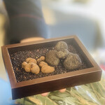 プレゼンテ スギ - ⑥⑰ 神奈川産2種のトリュフ