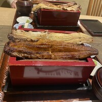 にょろ助 銀座 - 