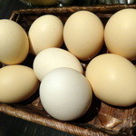 鉄板料理 堂島 - 2013.12生卵食べ放題