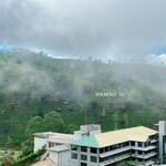 Damro Tea Factory - Labookellie Tea Lounge - 