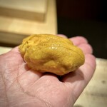 鮨 西崎 - ■紫雲丹
      これまたフワリ。「悦」です♪
      雲丹は、めっちゃ華やかで弾けるような香り！
      すごいな、これ。