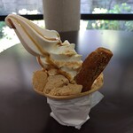 桔梗屋 - 桔梗信玄ソフト＋