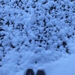 OTOTO JET - 雪の日に道はカチカチ