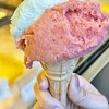 I Dolci di Checco er Carrettiere - 料理写真:ワイフは苺とミントをコーネで
