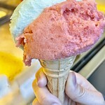 I Dolci di Checco er Carrettiere - 料理写真:ワイフは苺とミントをコーネで