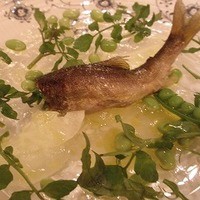 アロマフレスカ - 