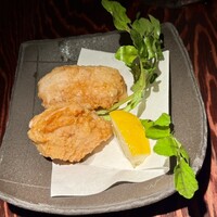 鳥ばか一代 - 