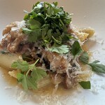 サーラ アマービレ - 