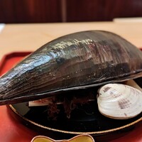 本湖月 -  本湖月 -