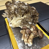 日本料理 新茶家 - よくぞ立派に