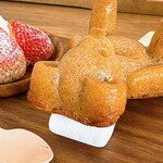 リトル ベア マイスター - 