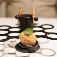 エディション・コウジ シモムラ - アミューズブーシュ　パニプリ