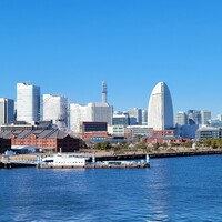 International cuisine subzero - 