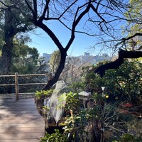 韻松亭 -  韻松亭 -