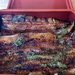 江戸一 - 鰻重（上）