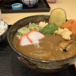 Te Uchi Udon Tanuki - 日替わりランチ　カレーうどん