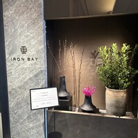 Iron Bay - 