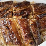 鰻はましん - 表面はパリッ！とね！