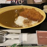 博多カレー研究所 博多とんこつあごだしカレー - 