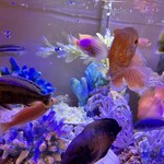 シーフード メヒコ - 