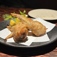 鳥ばか一代 - 