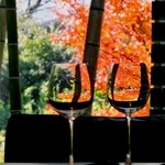 エルルカン・ビス - 