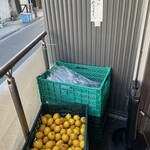 家系総本山 吉村家 - 