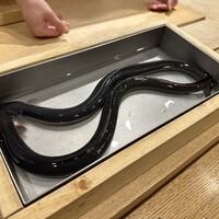 三宅輝 - 