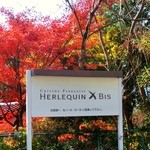 エルルカン・ビス - 