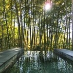 エルルカン・ビス - 足湯