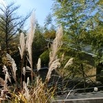 エルルカン・ビス - 