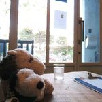 ミスエヴァンス - ボキらは入り口の近くのソファー席に座ることに。
                                大きな窓ガラスからの眺めが１枚の絵画のような感じで、落ち着くな～