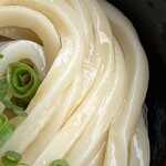 須崎食料品店 - 麺が綺麗です。