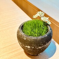 KIZAHASHI - 