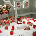 LOUANGE TOKYO Le Musée - 