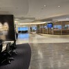 NARITA PREMIER LOUNGE - 