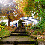 エグ・ヴィヴ - この先に魅惑のパン達が・・・☆