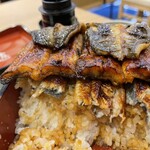 Unagi Kazutomo - 