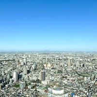 サンシャイン クルーズ・クルーズ - 