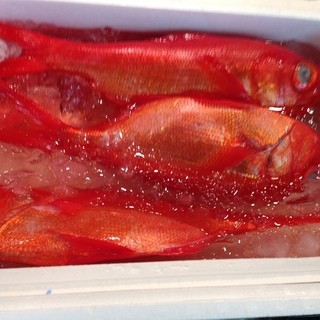 毎朝、豊洲市場に行って、イチバンの鮮魚を仕入れます！