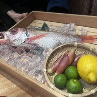 のどぐろ専門 銀座 中俣 - 