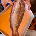 丸吉食品 - まくぶ